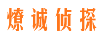 安居市婚外情调查